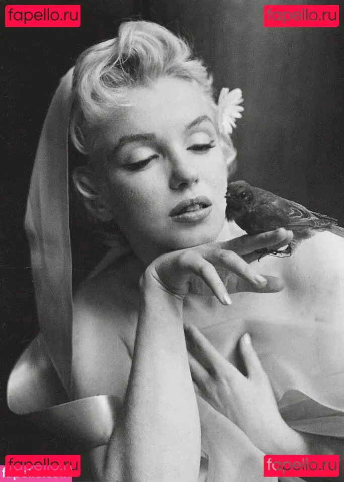 Marilyn Monroe Onlyfans Photo Gallery 