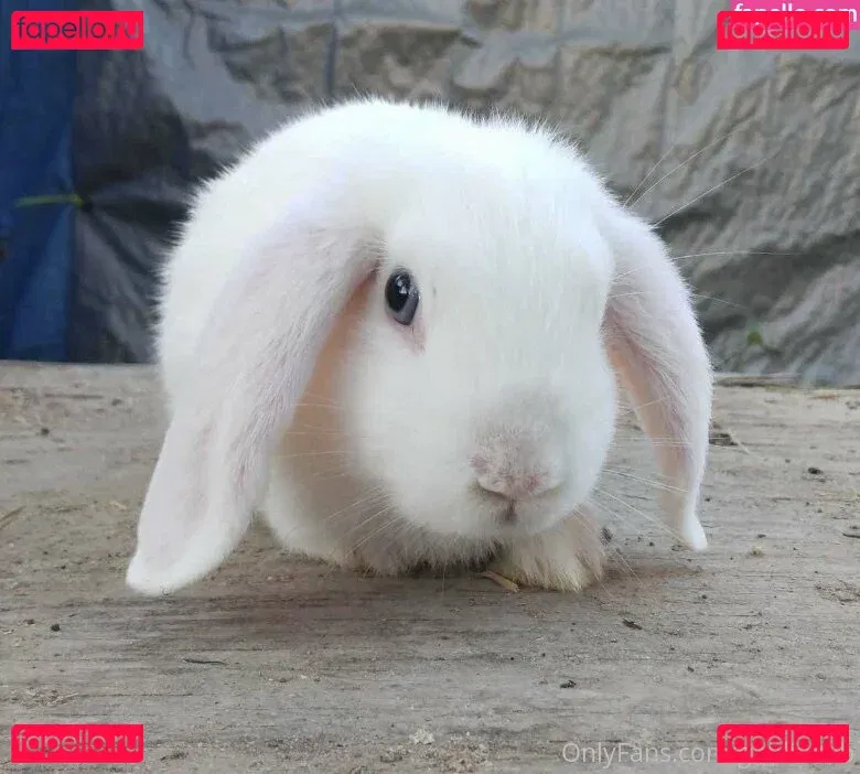 Goblincub Onlyfans Photo Gallery 