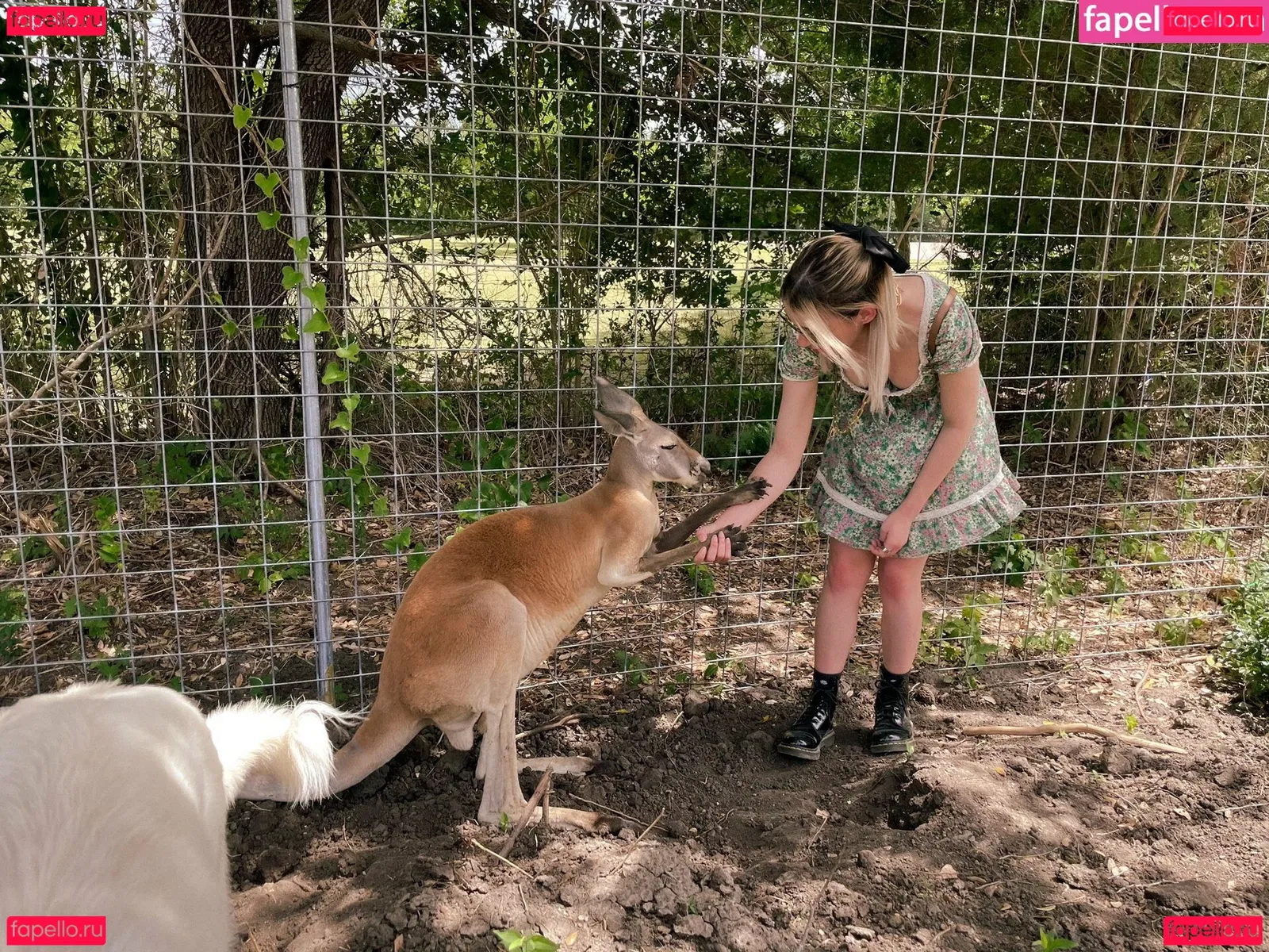 shelbygraces Onlyfans Photo Gallery 