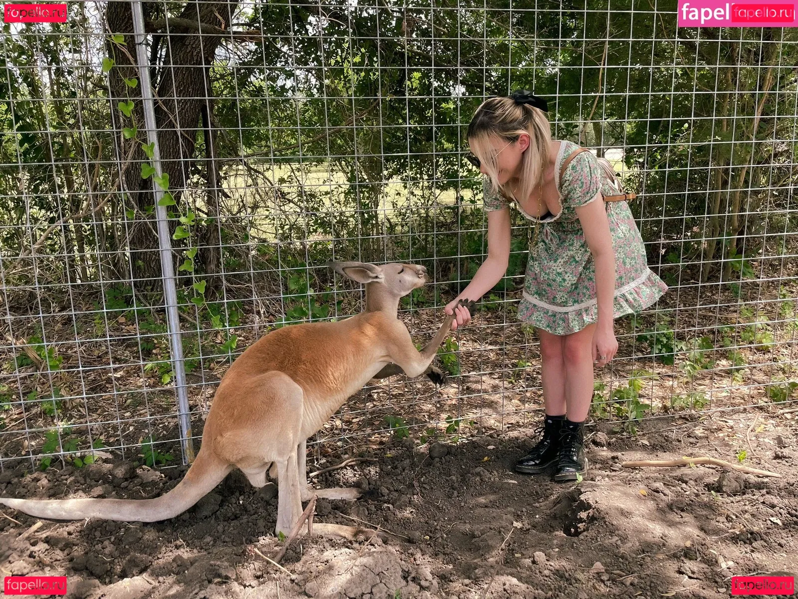 shelbygraces Onlyfans Photo Gallery 