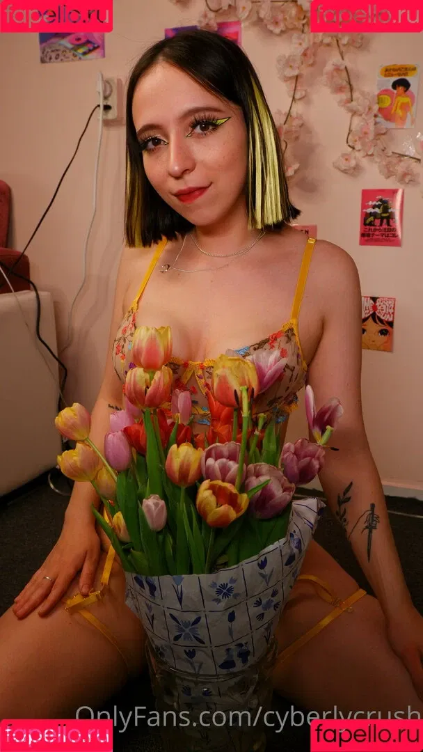 CyberlyCrush Onlyfans Photo Gallery 