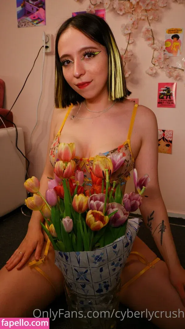 CyberlyCrush Onlyfans Photo Gallery 