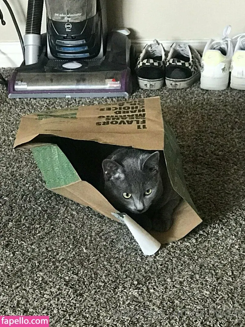 sn0w333 Onlyfans Photo Gallery 