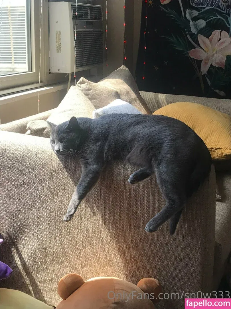 sn0w333 Onlyfans Photo Gallery 