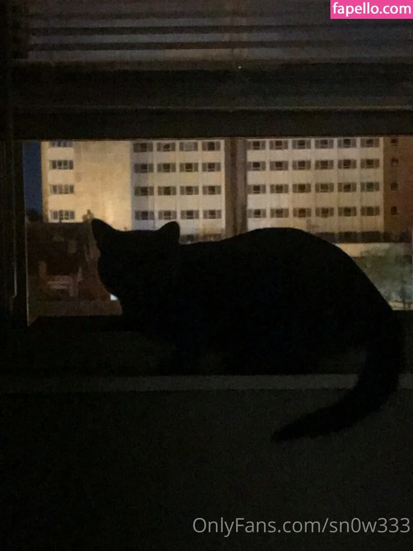 sn0w333 Onlyfans Photo Gallery 