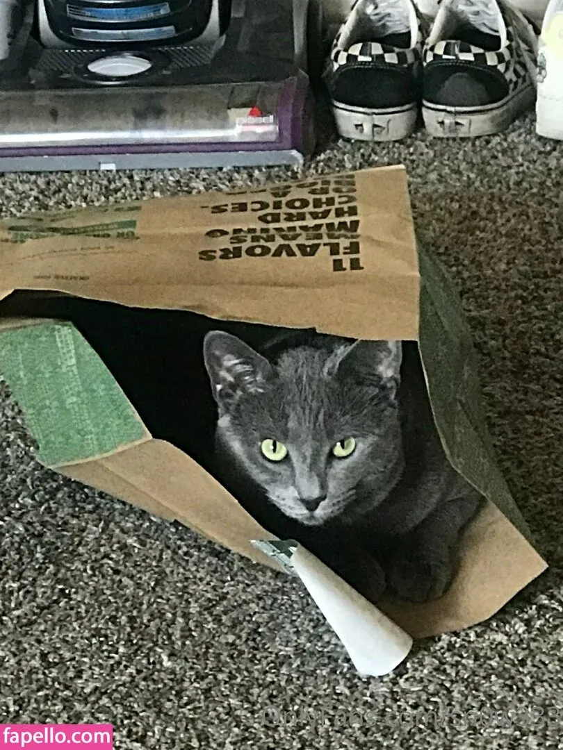 sn0w333 Onlyfans Photo Gallery 