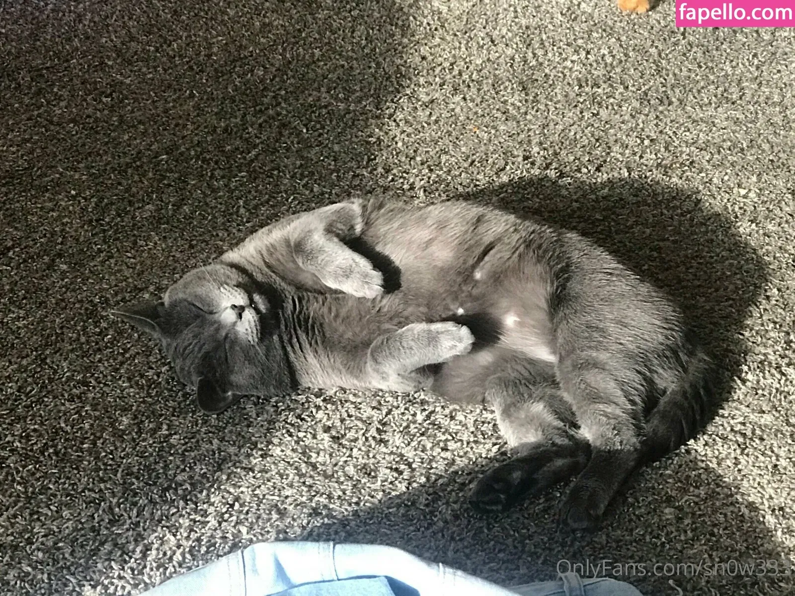 sn0w333 Onlyfans Photo Gallery 