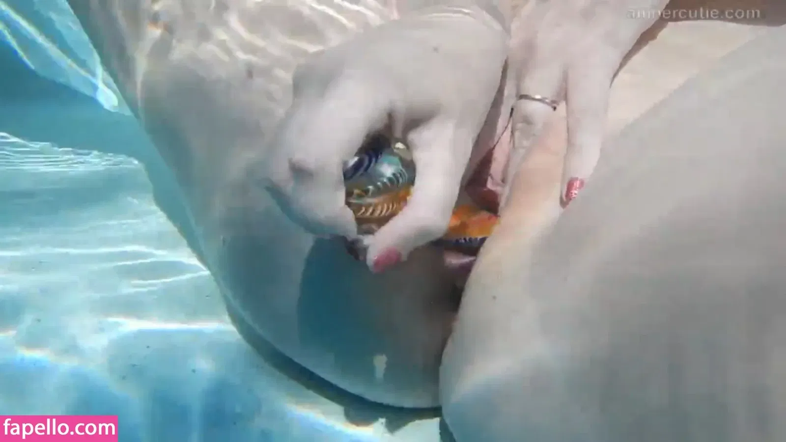 ayame_apricot Onlyfans Photo Gallery 