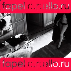 Gwyneth Paltrow Onlyfans Photo Gallery 