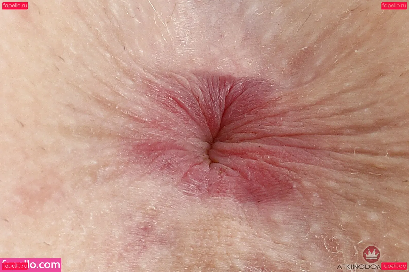 Melody Marks Onlyfans Photo Gallery 