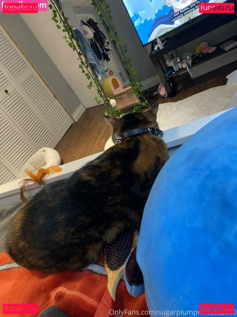 getmeoffpls Onlyfans Photo Gallery 