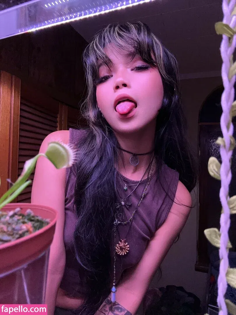 Wasabiicat Onlyfans Photo Gallery 