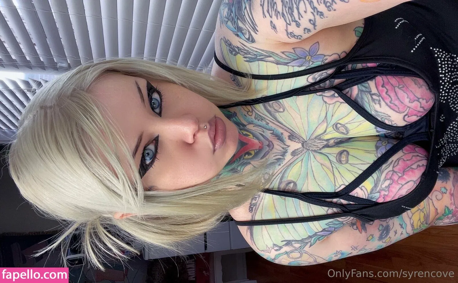 Syrencove Onlyfans Photo Gallery 