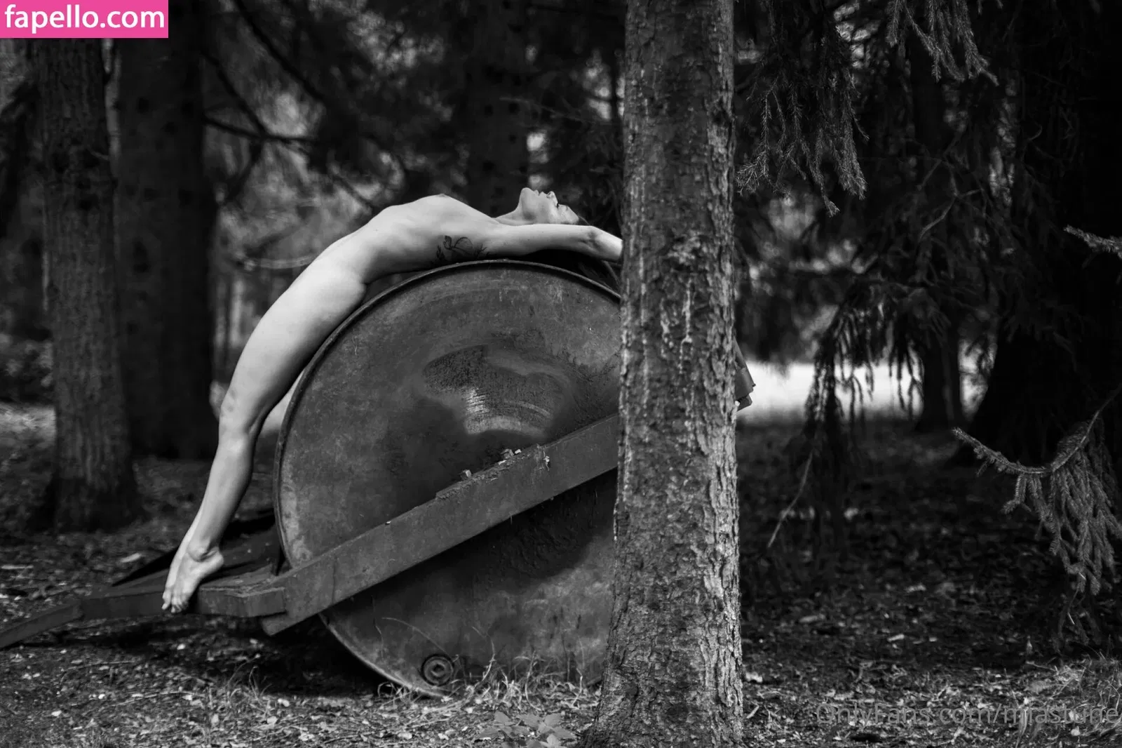 Mia Sollis Onlyfans Photo Gallery 