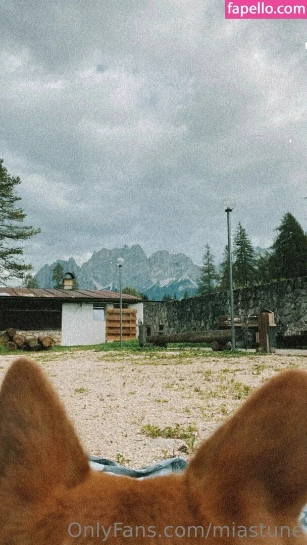 Mia Sollis Onlyfans Photo Gallery 