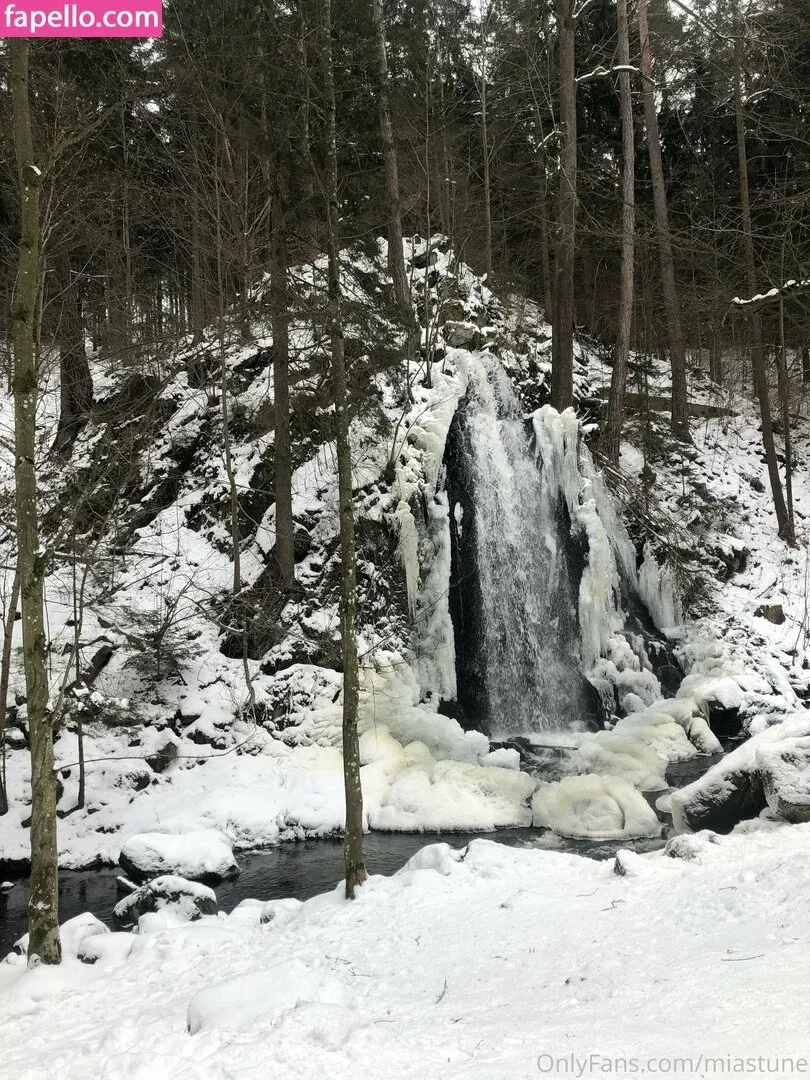 Mia Sollis Onlyfans Photo Gallery 