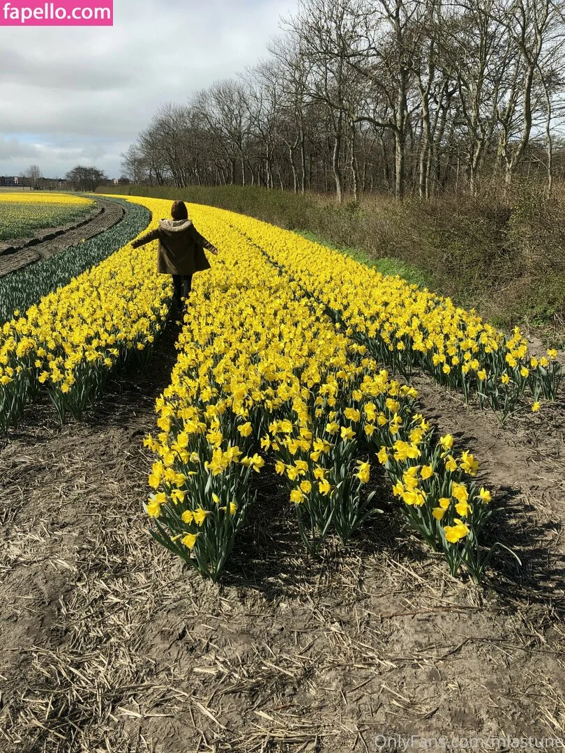 Mia Sollis Onlyfans Photo Gallery 