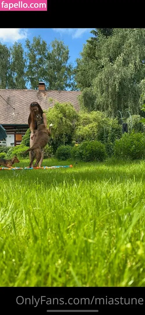 Mia Sollis Onlyfans Photo Gallery 