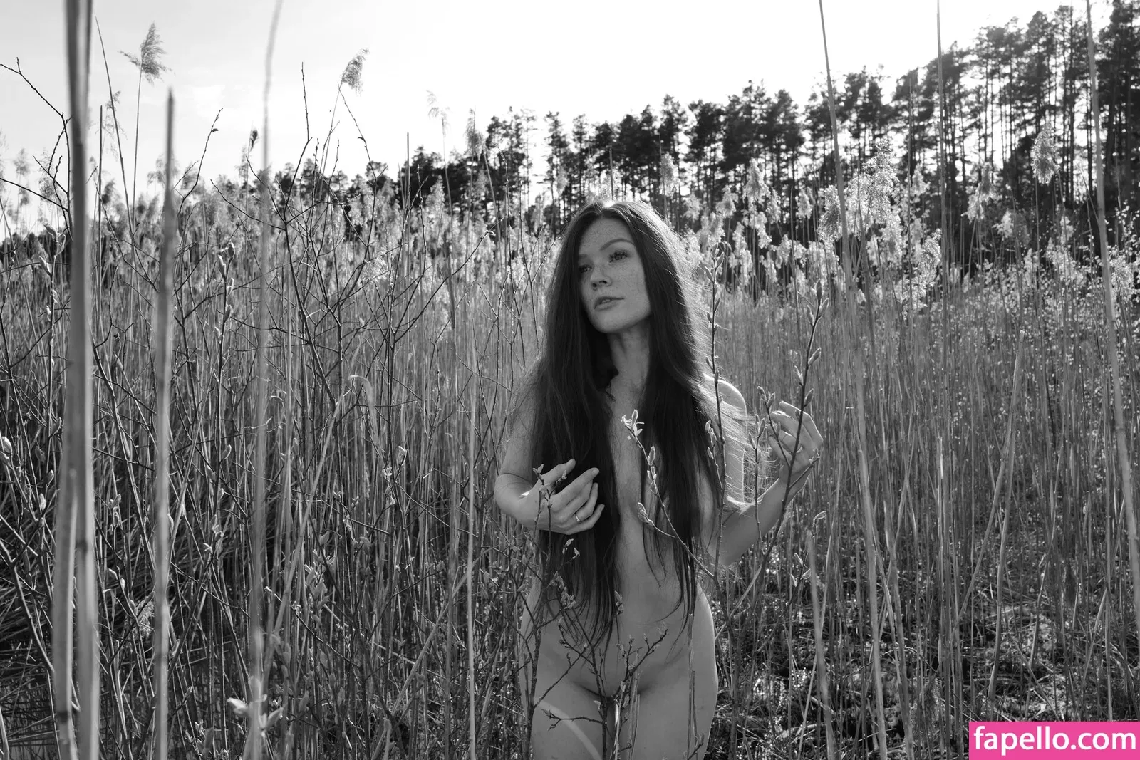 Mia Sollis Onlyfans Photo Gallery 