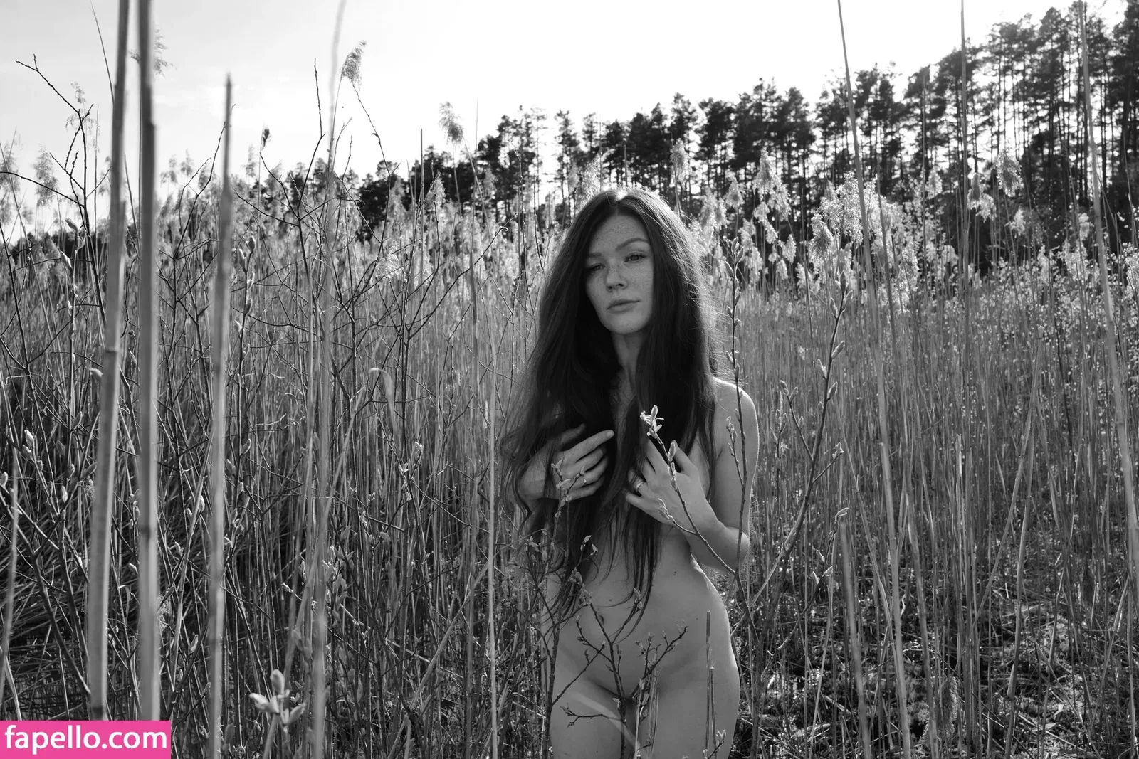 Mia Sollis Onlyfans Photo Gallery 