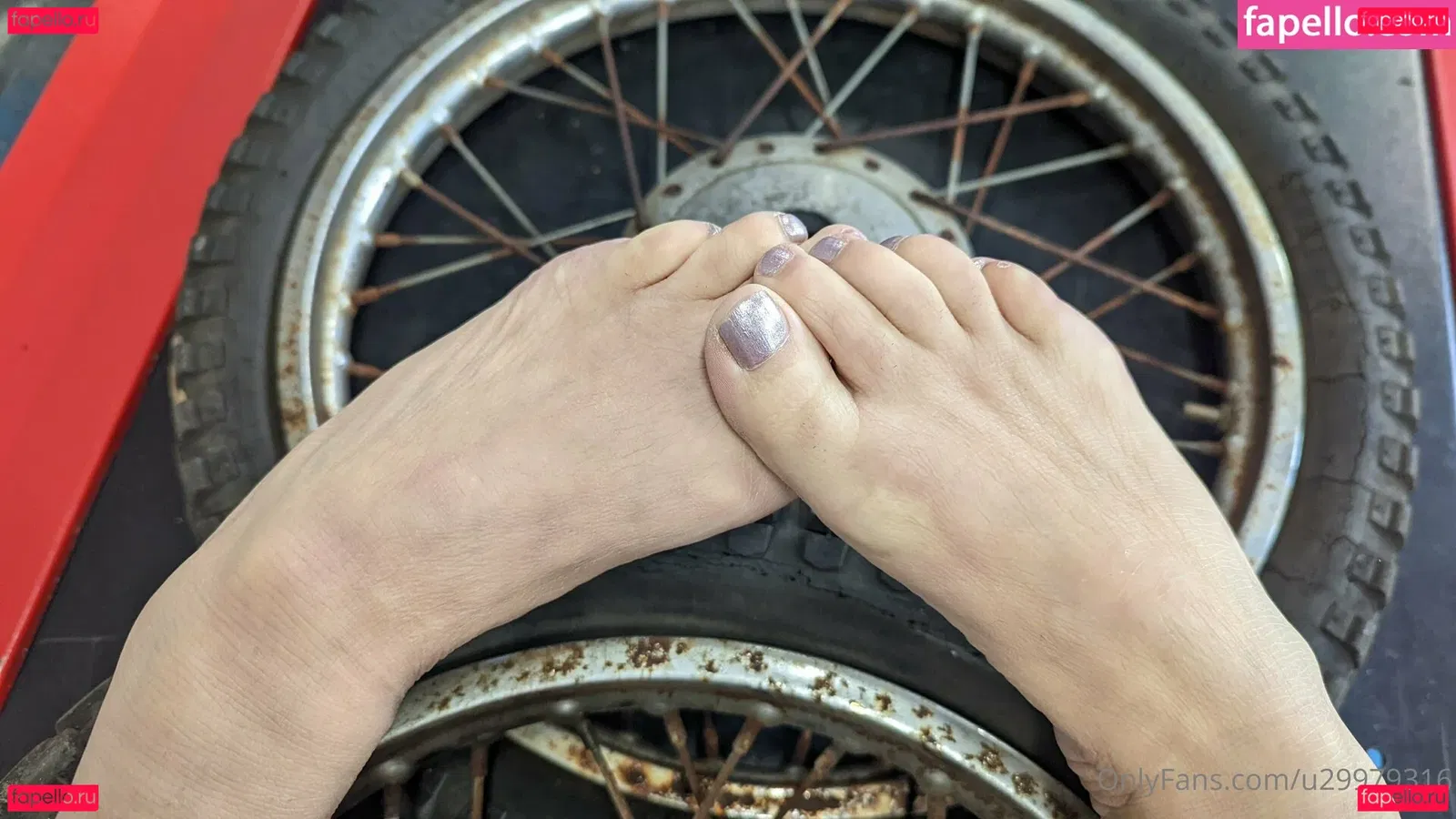 u29979316 Onlyfans Photo Gallery 