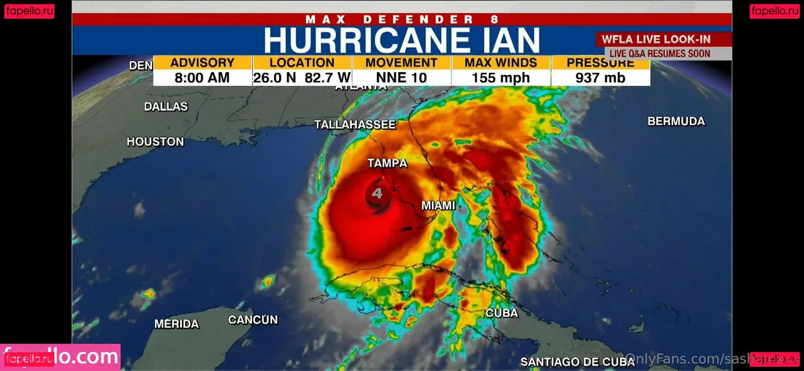 sashafoxxx Onlyfans Photo Gallery 