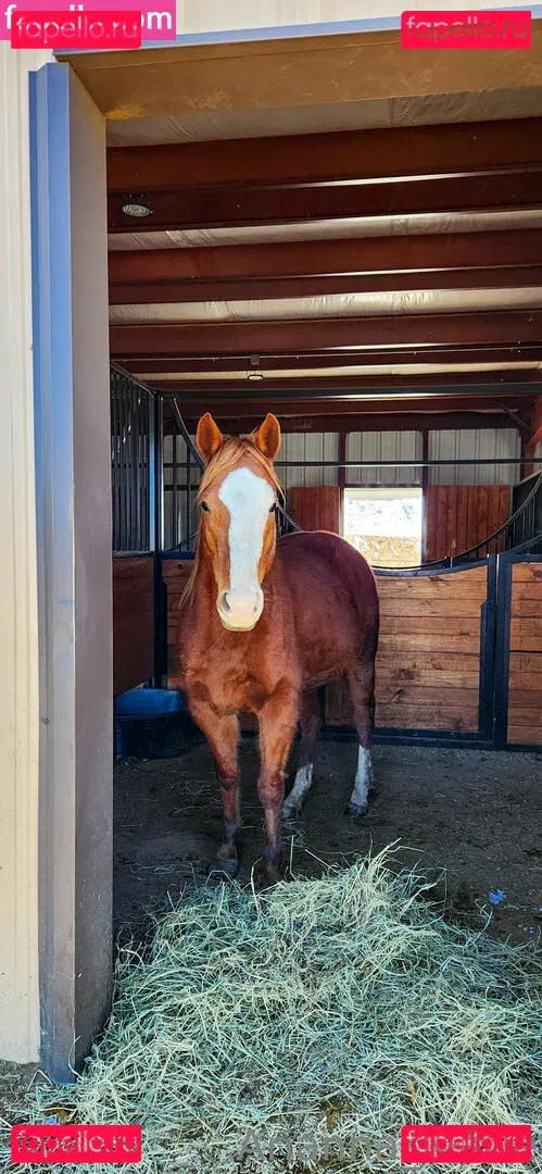 amarie301 Onlyfans Photo Gallery 