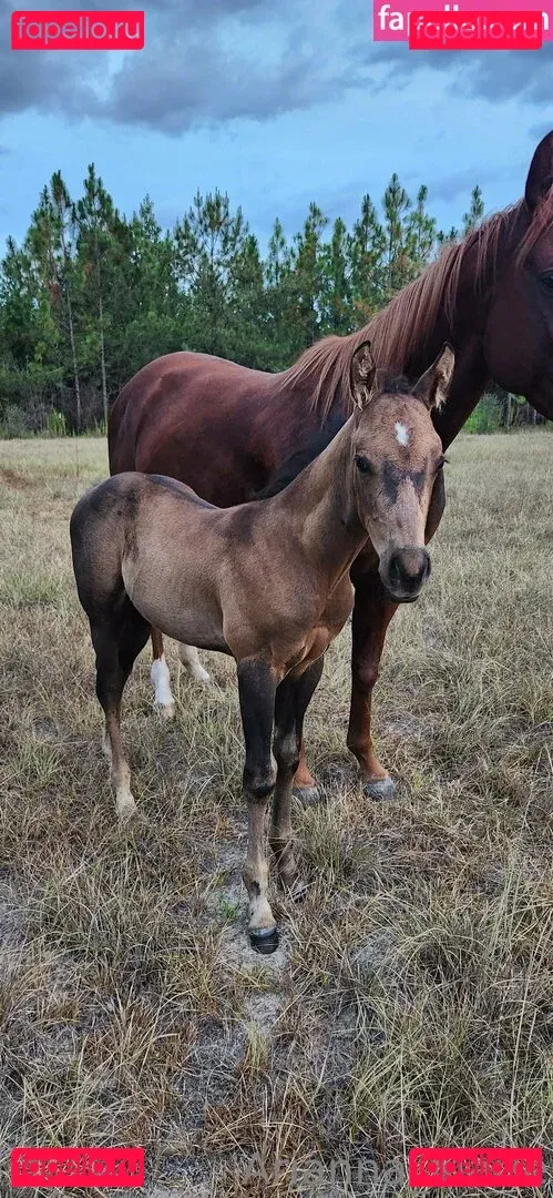 amarie301 Onlyfans Photo Gallery 