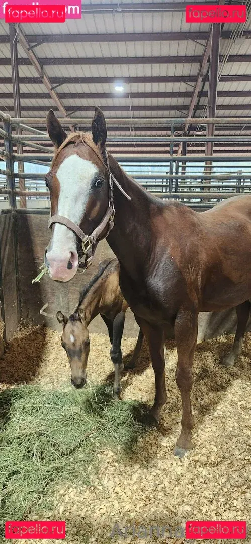 amarie301 Onlyfans Photo Gallery 