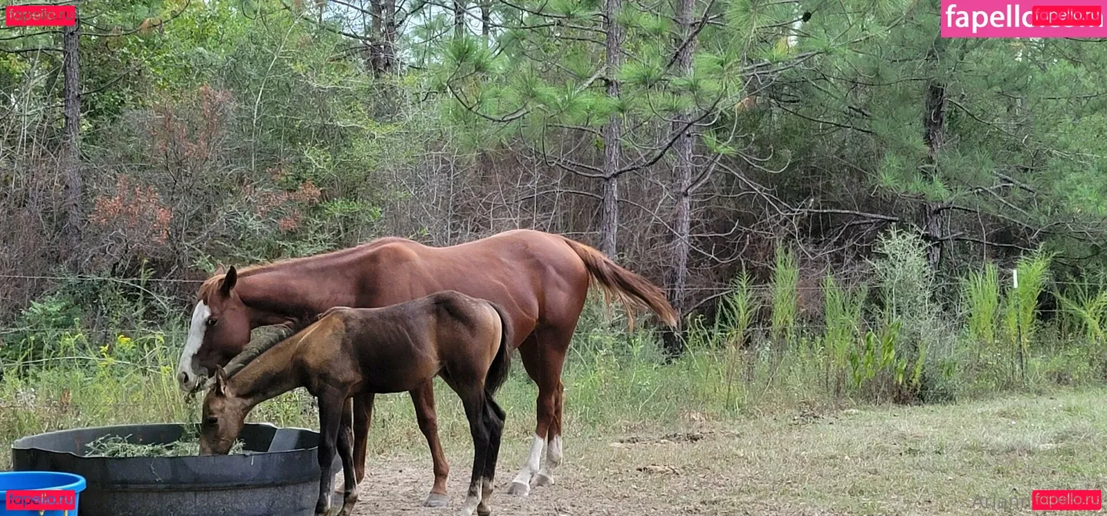 amarie301 Onlyfans Photo Gallery 