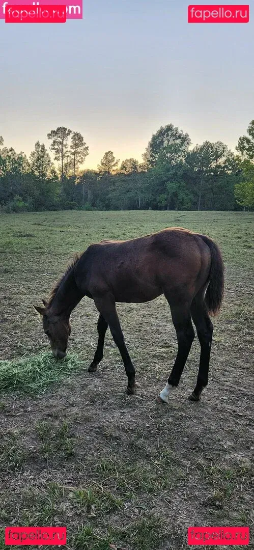 amarie301 Onlyfans Photo Gallery 