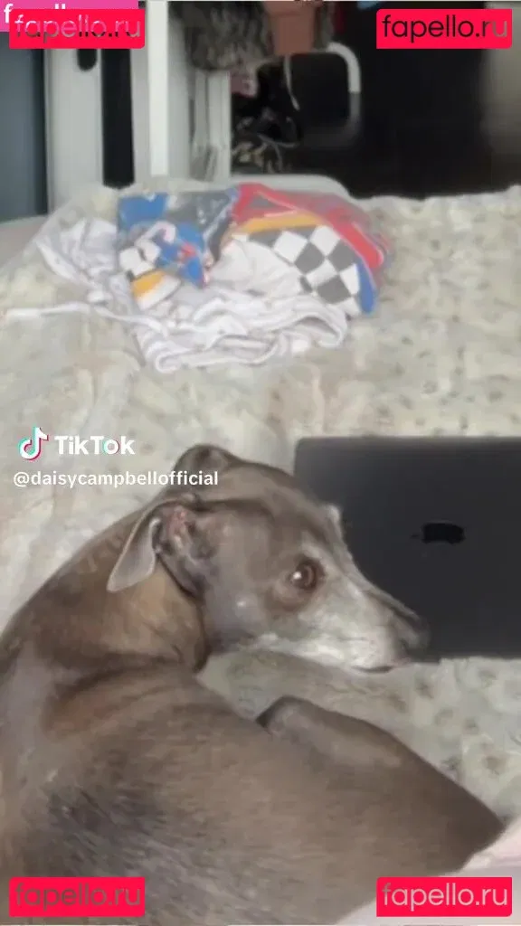 Daisy Campbell Onlyfans Photo Gallery 