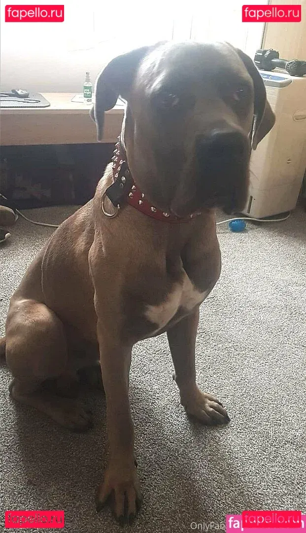 amyroseleal Onlyfans Photo Gallery 