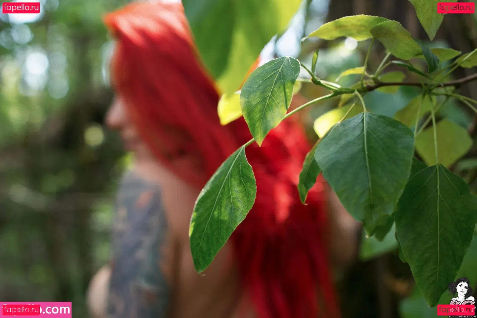 Torie Suicide Onlyfans Photo Gallery 