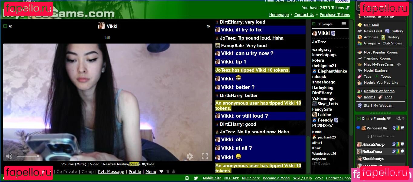 FancyV / FancyVikki / Vixivik / officialfancy.v Onlyfans Photo Gallery 