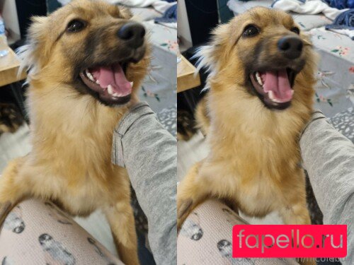 nicolebun Onlyfans Photo Gallery 