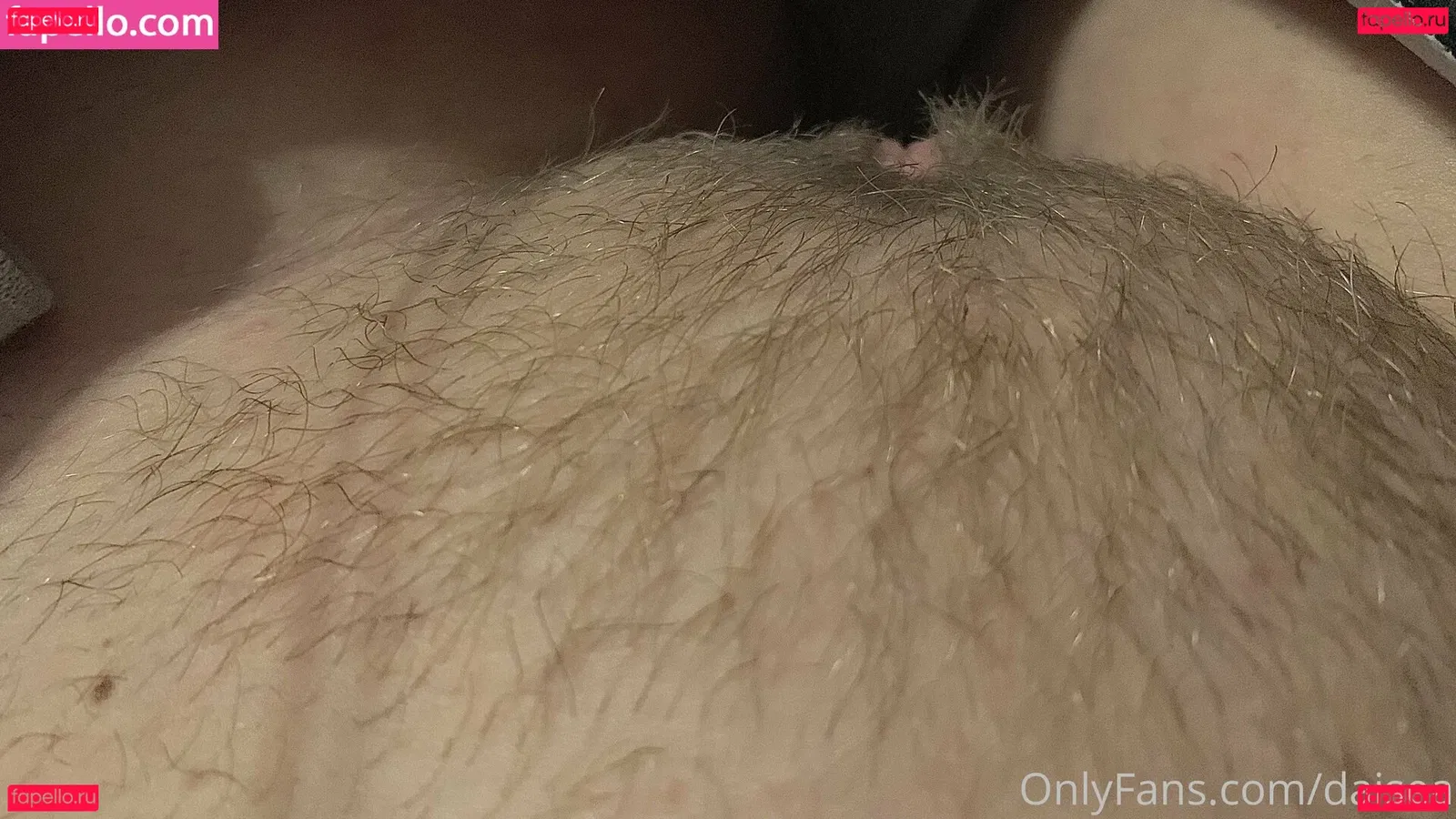 daisea Onlyfans Photo Gallery 