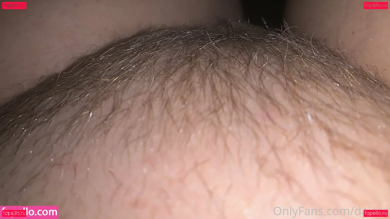 daisea Onlyfans Photo Gallery 