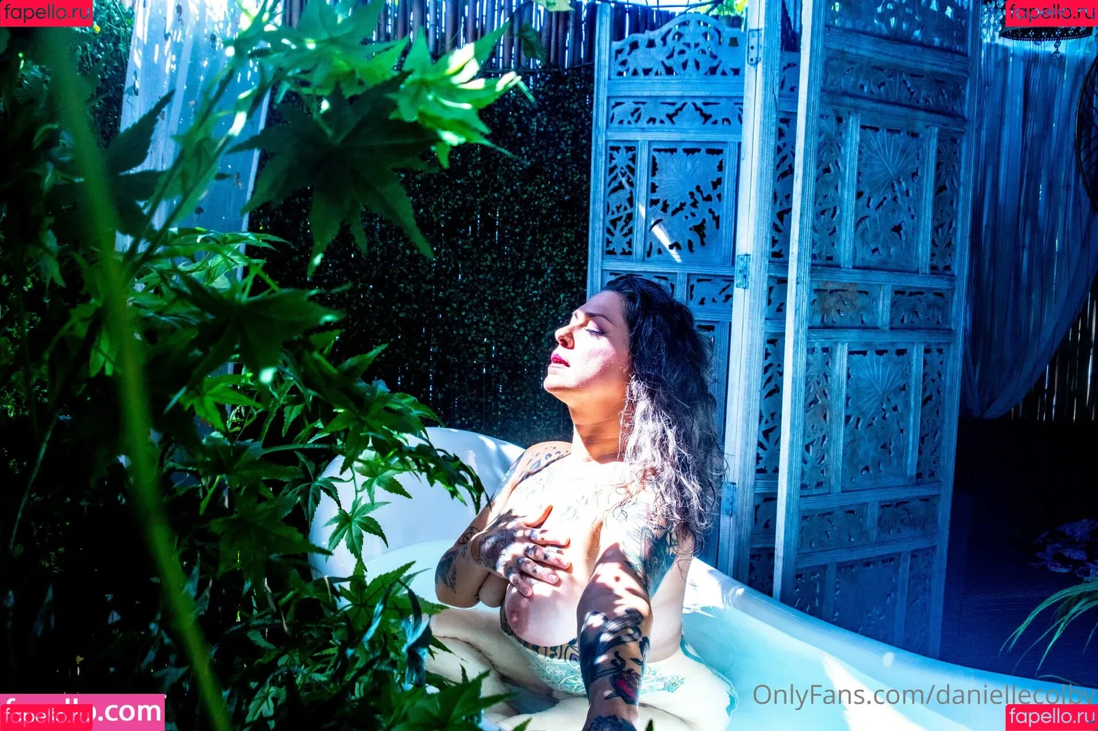 Danielle Colby Onlyfans Photo Gallery 