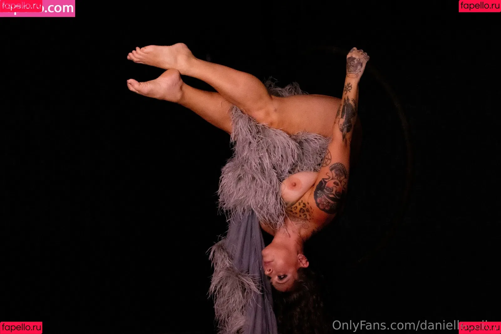 Danielle Colby Onlyfans Photo Gallery 