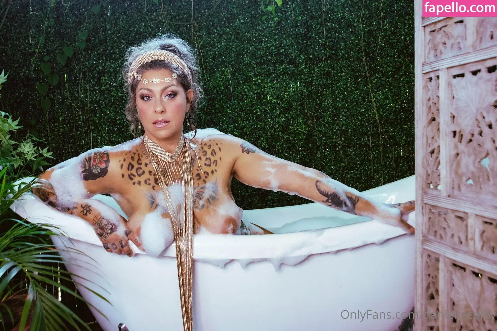 Danielle Colby Onlyfans Photo Gallery 