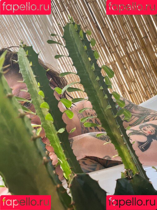 Danielle Colby Onlyfans Photo Gallery 