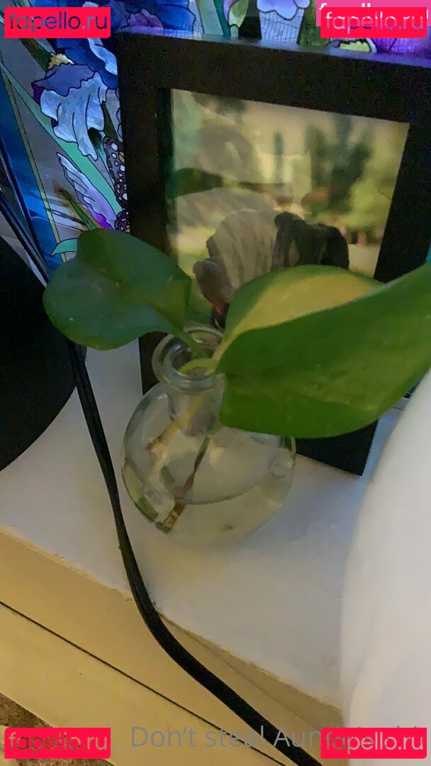 coffeewithcollins / collzorgs Onlyfans Photo Gallery 