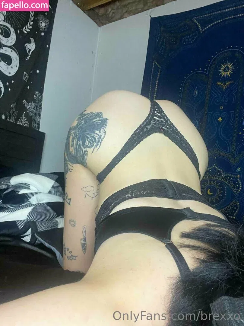 brexxo Onlyfans Photo Gallery 