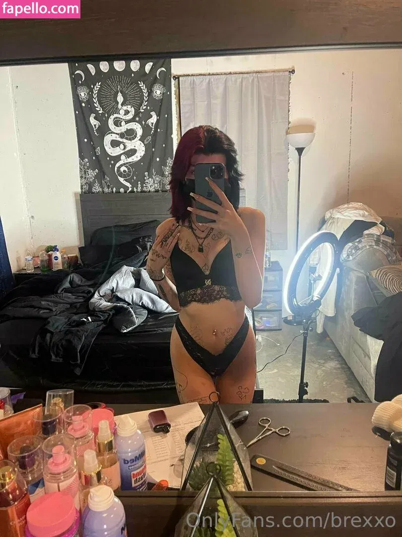 brexxo Onlyfans Photo Gallery 