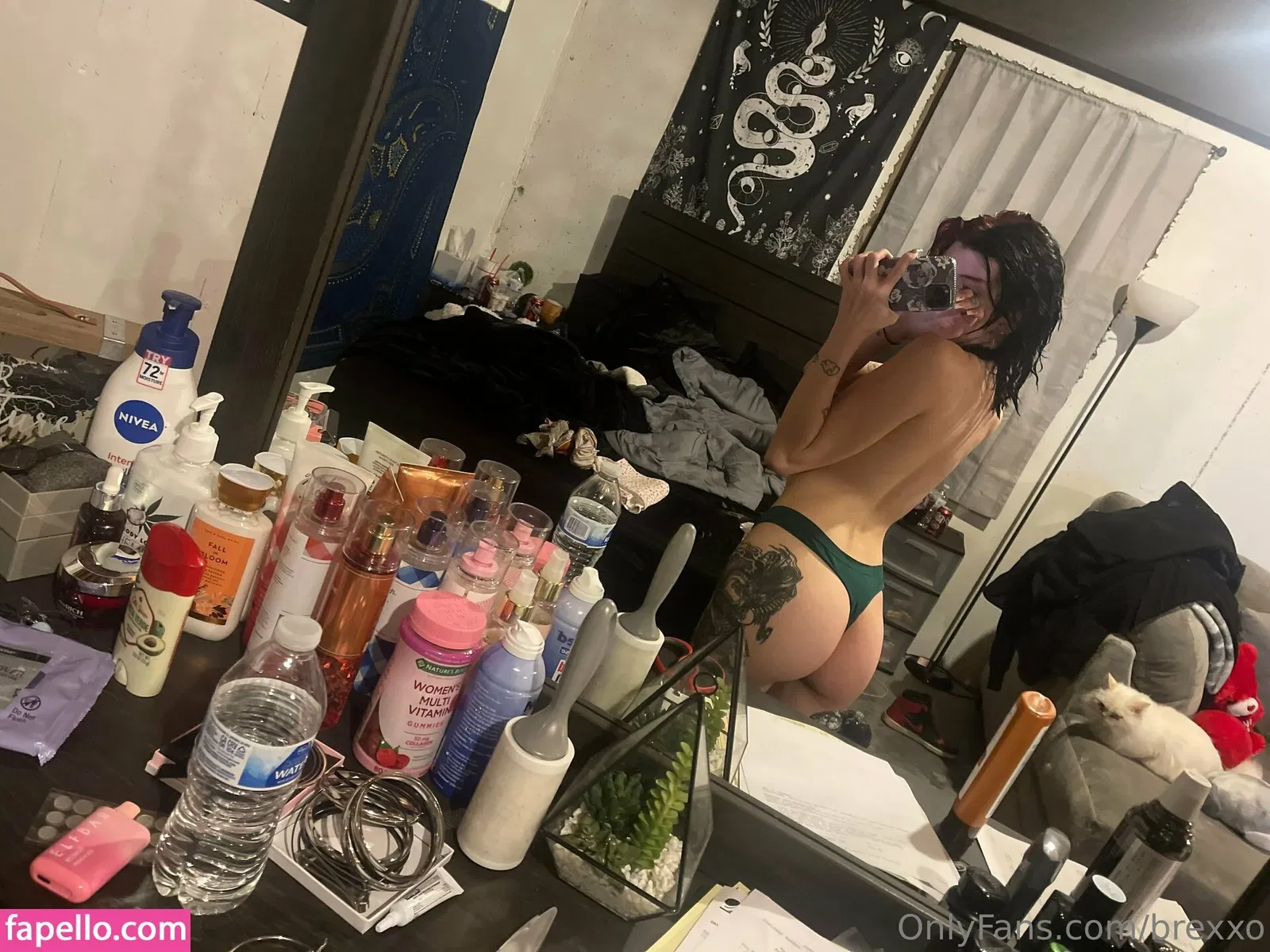 brexxo Onlyfans Photo Gallery 