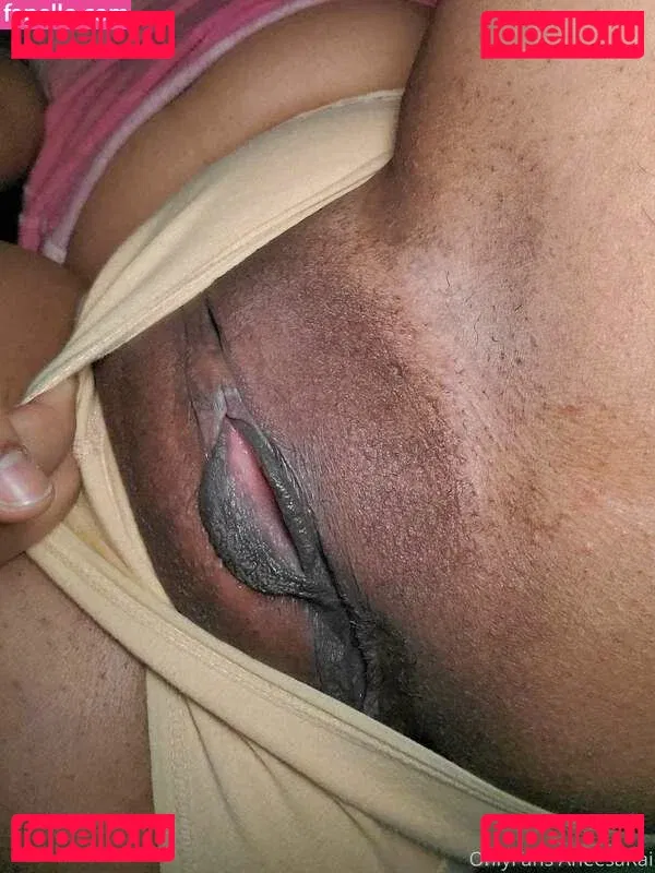 aneesarai Onlyfans Photo Gallery 