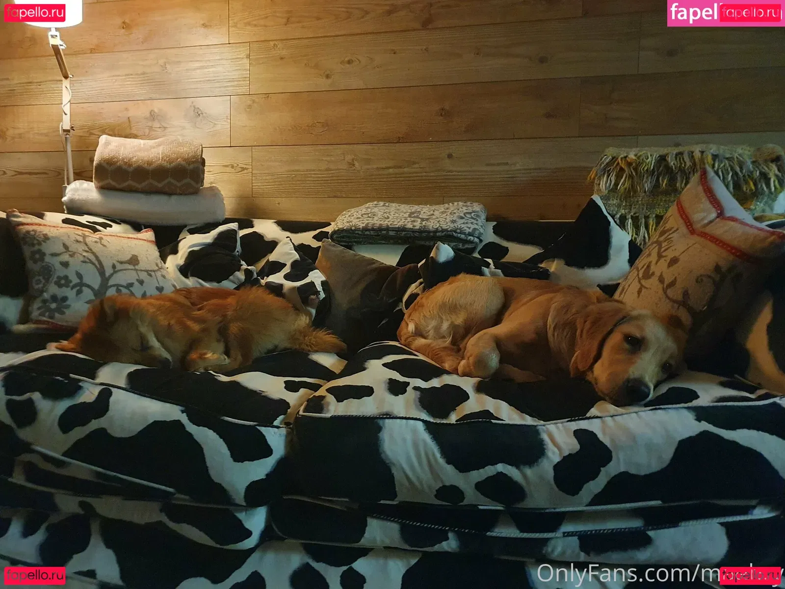 maebry Onlyfans Photo Gallery 