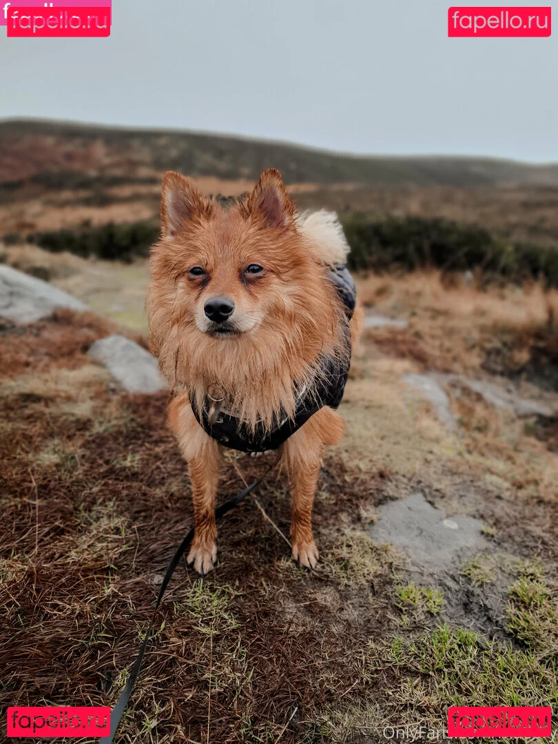 maebry Onlyfans Photo Gallery 