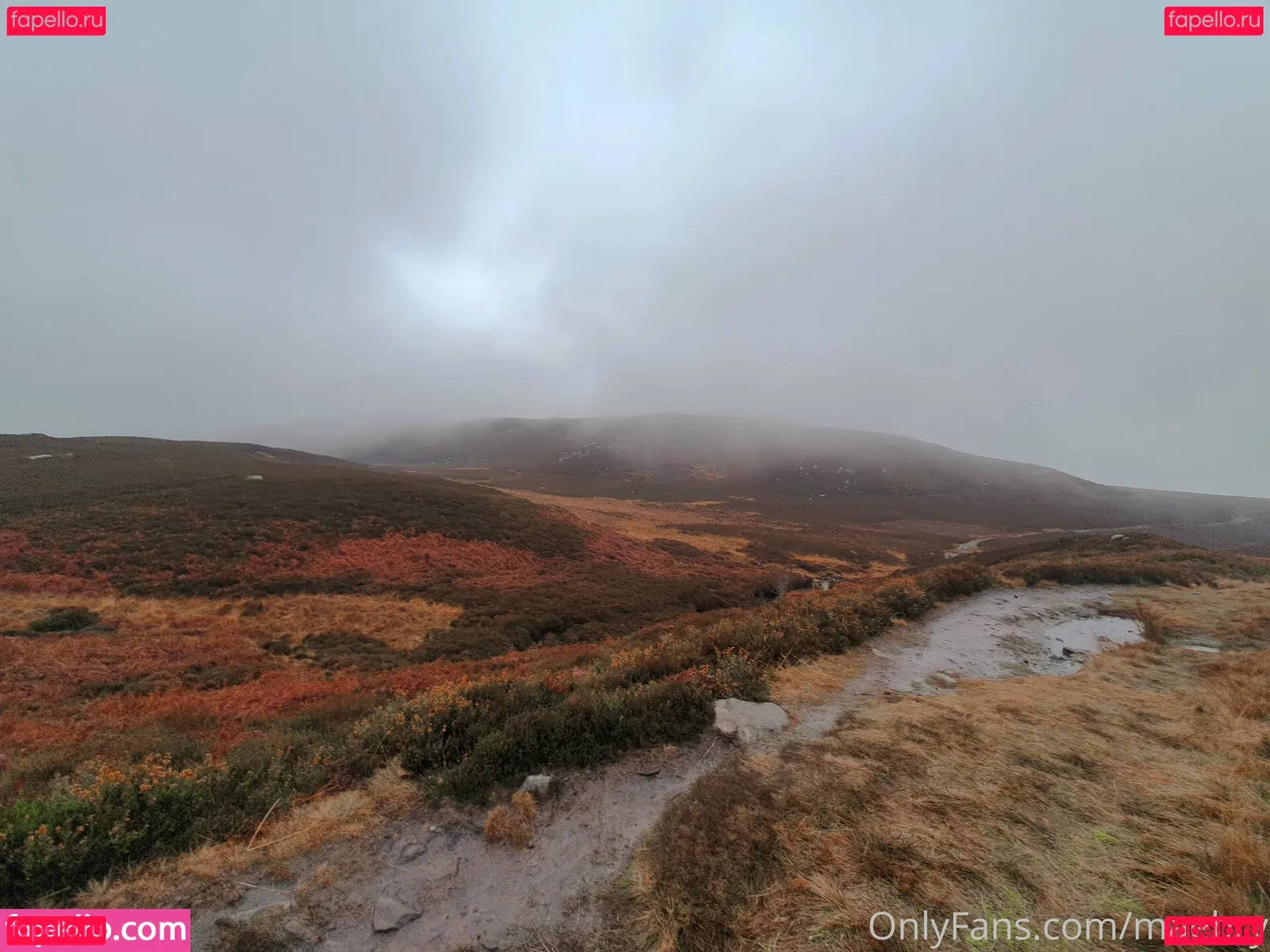 maebry Onlyfans Photo Gallery 